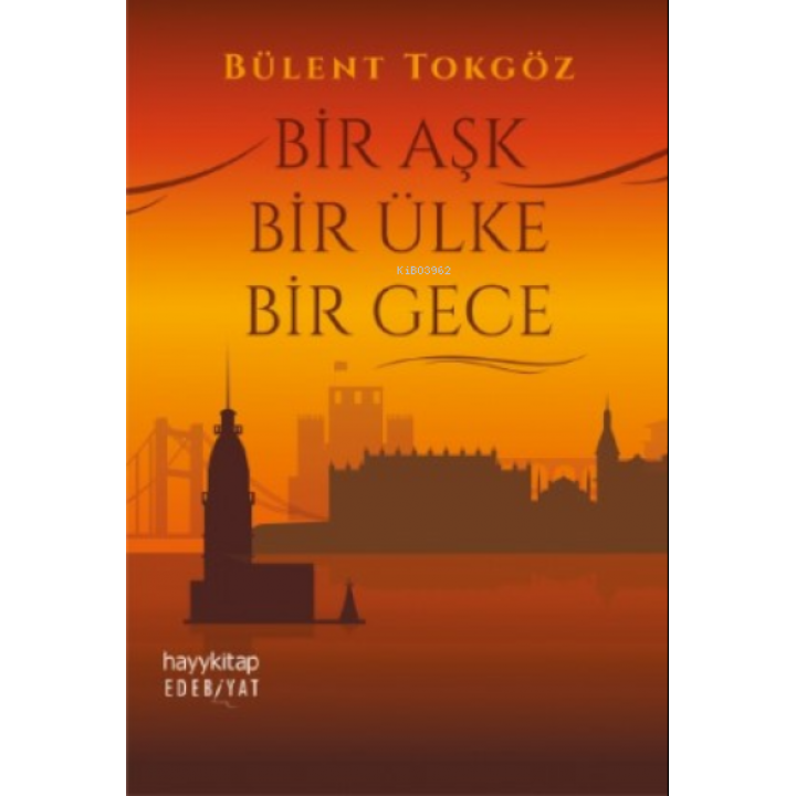 Bir Aşk Bir Ülke Bir Gece