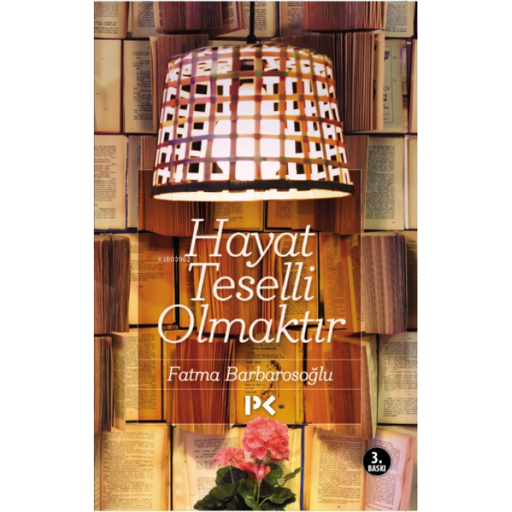 Hayat Teselli Olmaktır