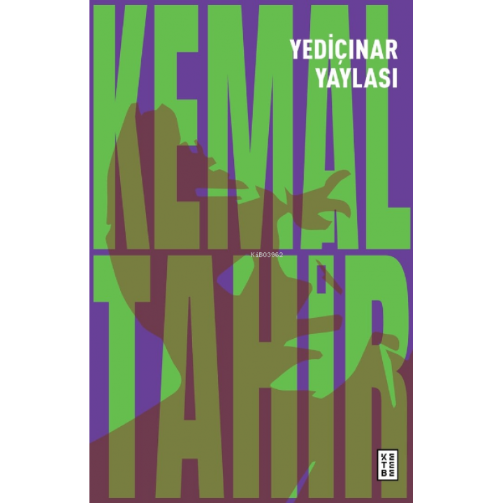 Yediçınar Yaylası