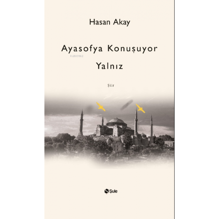 Ayasofya Konuşuyor Yalnız