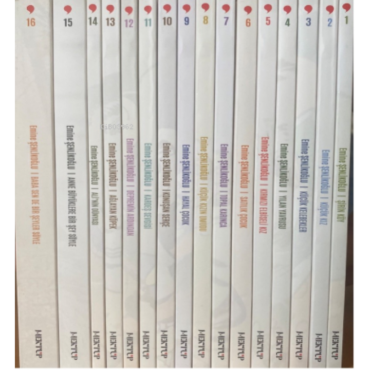 Nesillerin Öyküsü (16 Kitap)