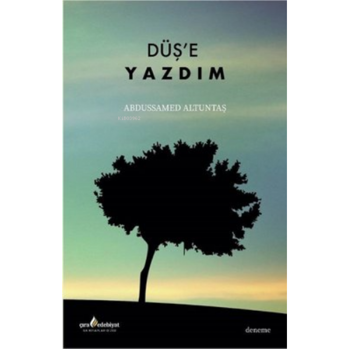 Düş'e Yazdım