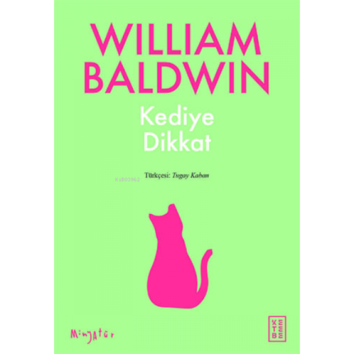 Kediye Dikkat