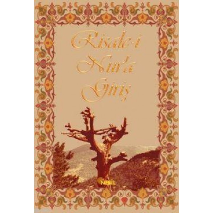 Risale-i Nur'a Giriş