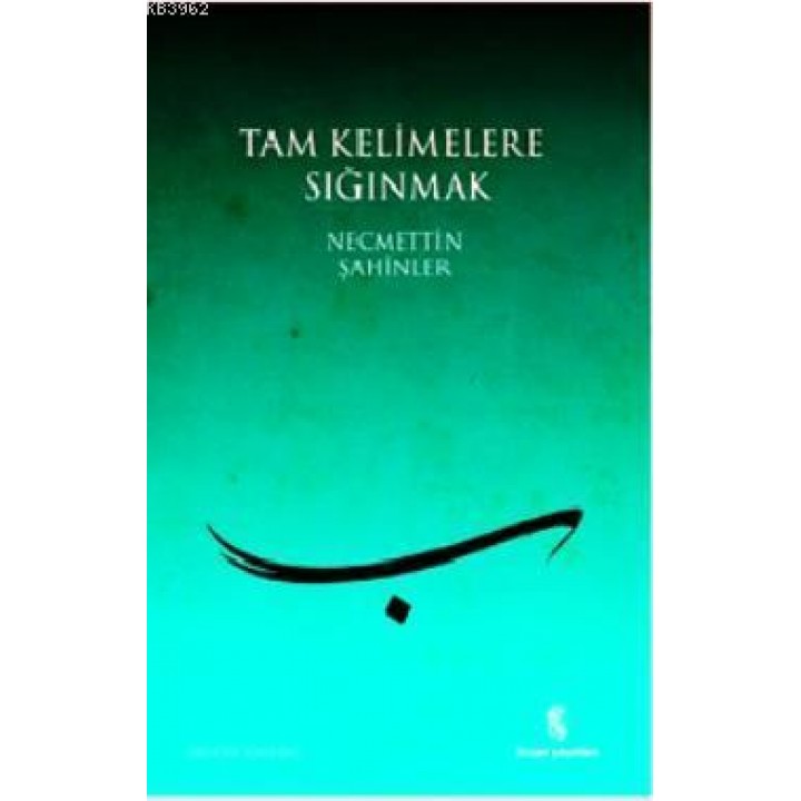 Tam Kelimelere Sığınmak