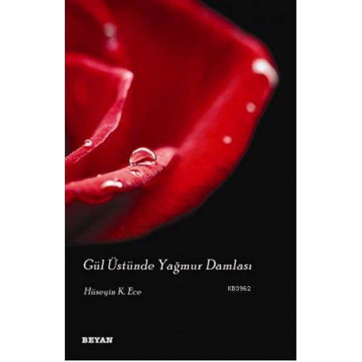 Gül Üstünde Yağmur Damlası