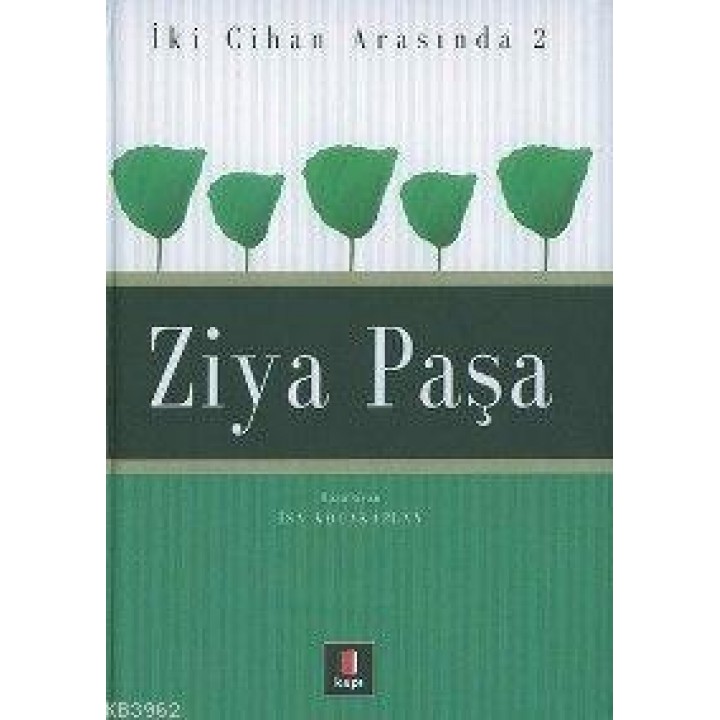 İki Cihan Arasında 2 - Ziya Paşa