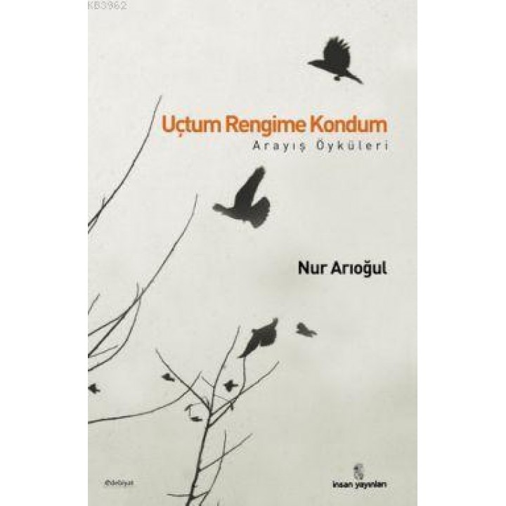 Uçtum Rengime Kondum; Arayış Öyküleri