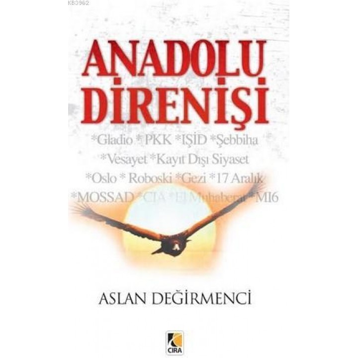 Anadolu Direnişi