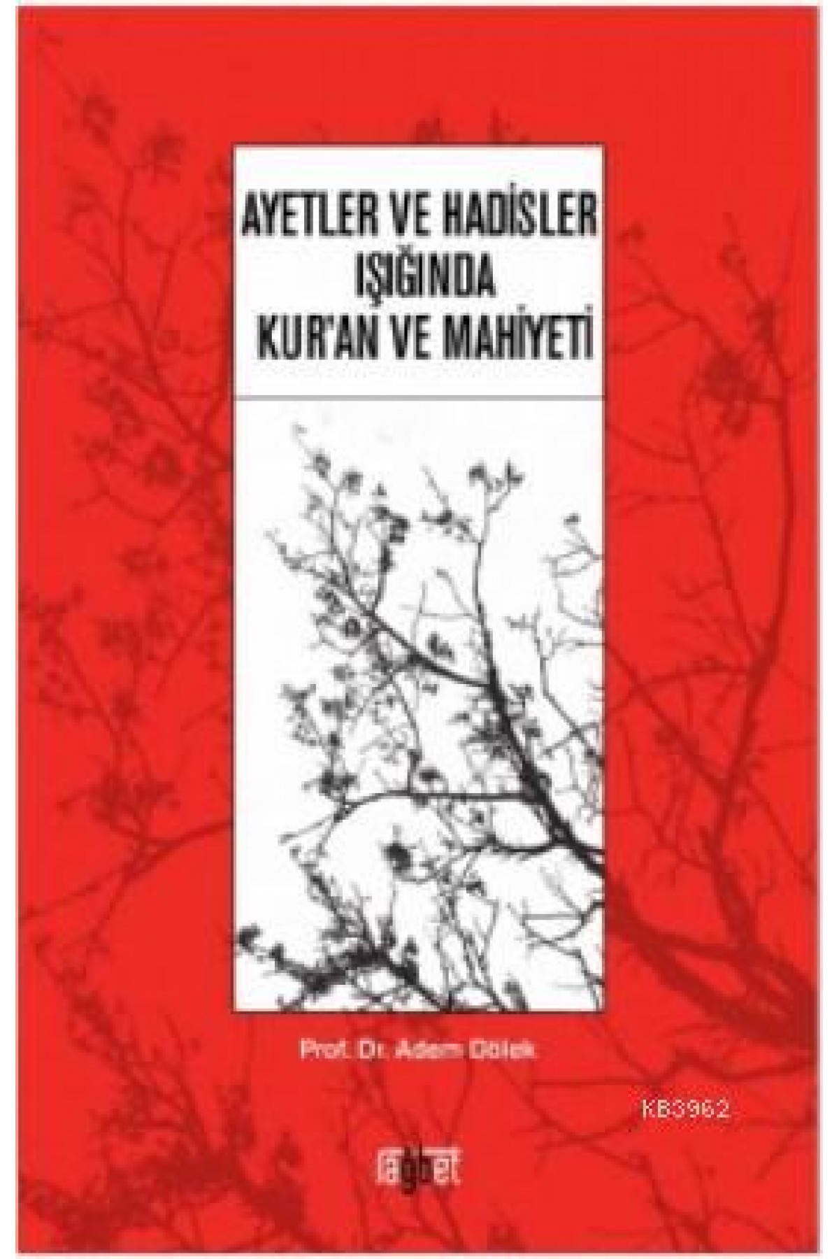 Ayetler ve Hadisler Işığında Kur'an ve Mahiyeti