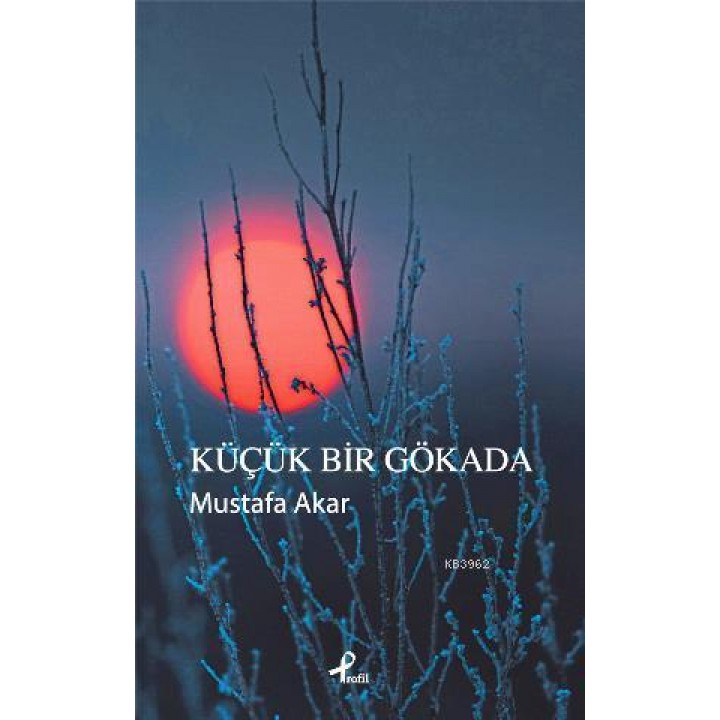 Küçük Bir Gökada
