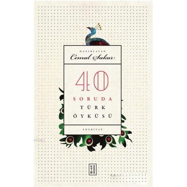 40 Soruda Türk Öyküsü (Ciltli)