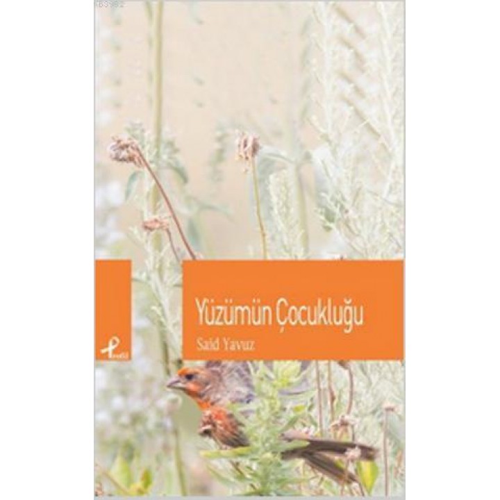 Yüzümün Çocukluğu