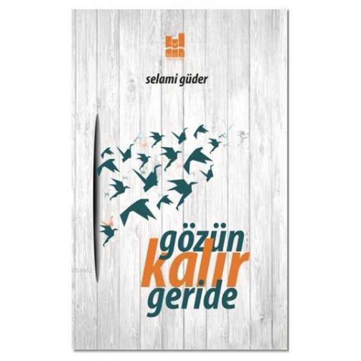 Gözün Kalır Geride