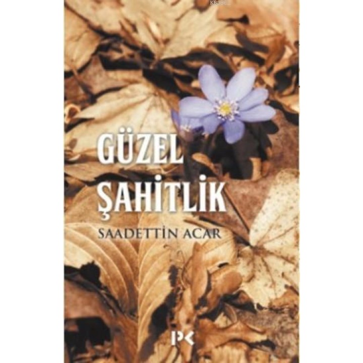 Güzel Şahitlik