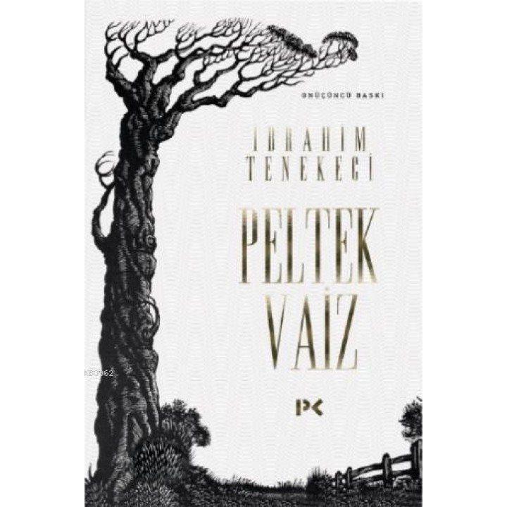 Peltek Vaiz