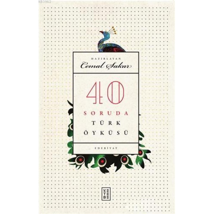 40 Soruda Türk Öyküsü