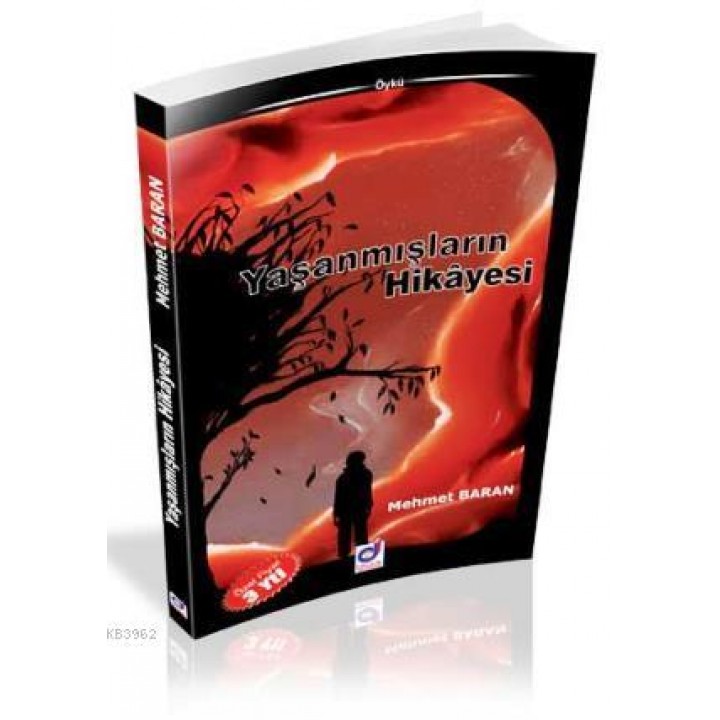 Yaşanmışların Hikayesi