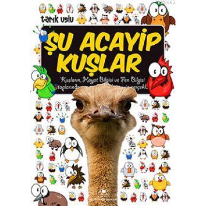 Şu Acayip Kuşlar