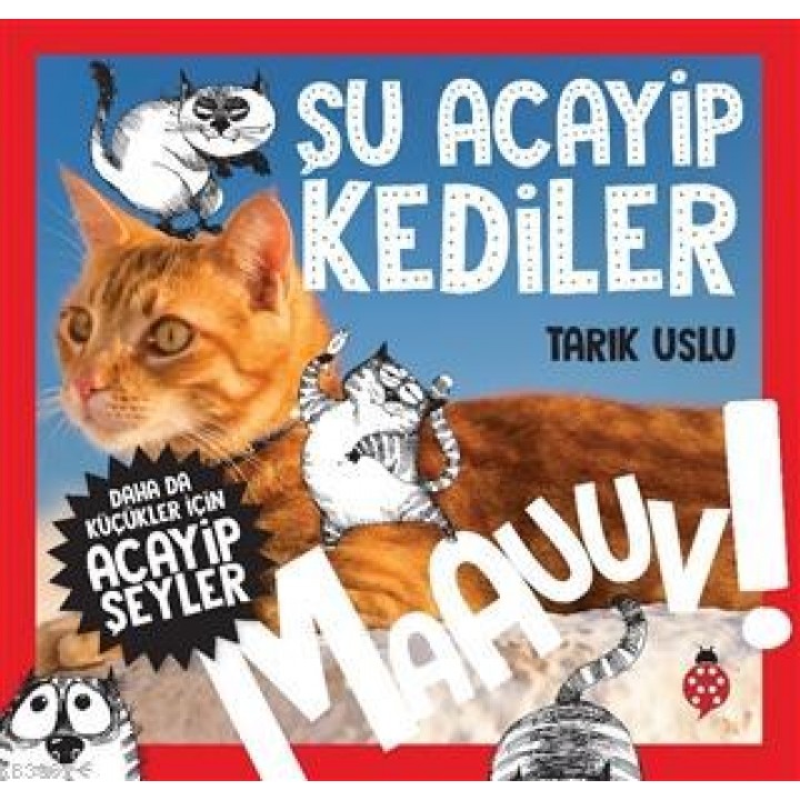 Daha da Küçükler İçin Acayip Şeyler Şu Acayip Kediler
