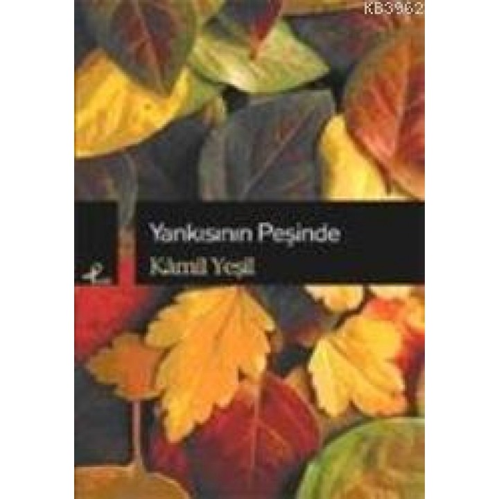 Yankısının Peşinde