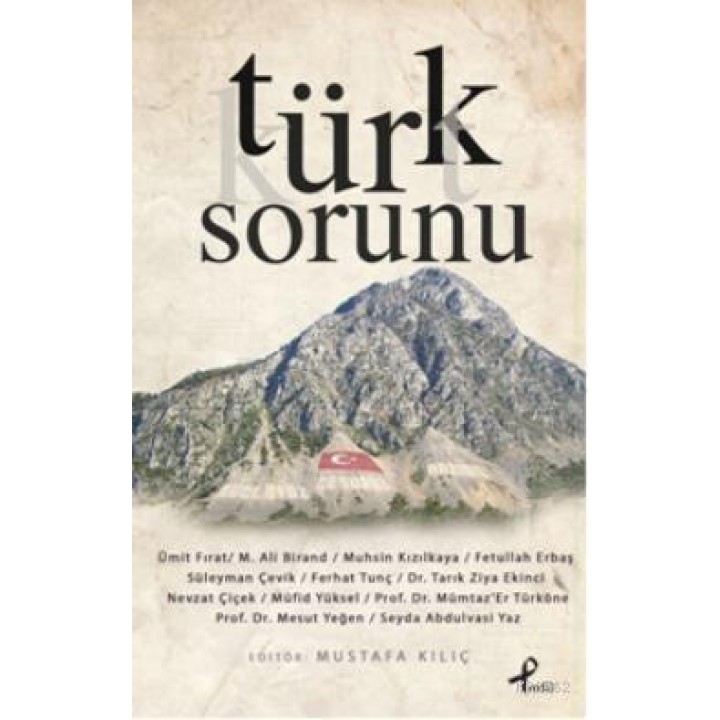 Türk Sorunu