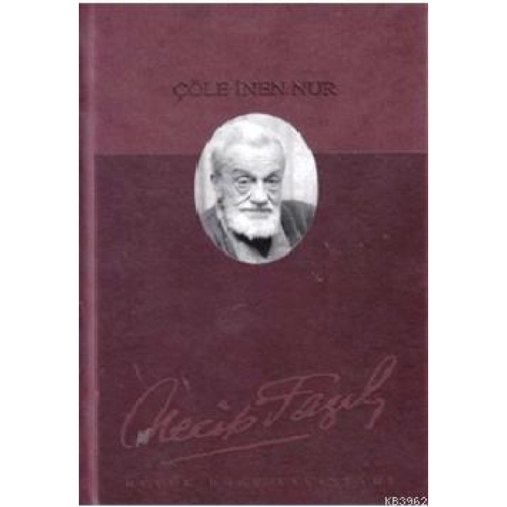 Çöle İnen Nur (Deri Cilt)